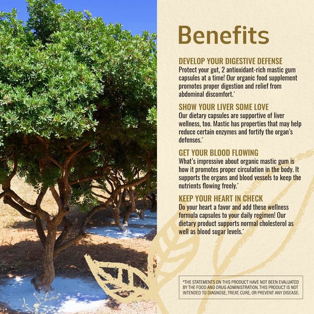 HERBAMAMA Mastic Gum Capsules - 1400 Mg, 100 Caps - Liver Health & Digestive Supplement