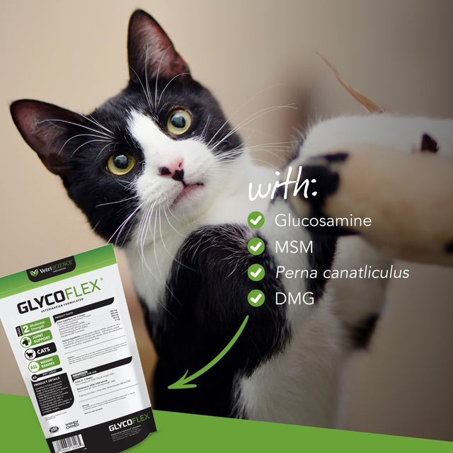 Glycoflex 2 Feline, Hip and Joint Supplement for Cats, Chicken Flavor, 60 Bite Sized Chews