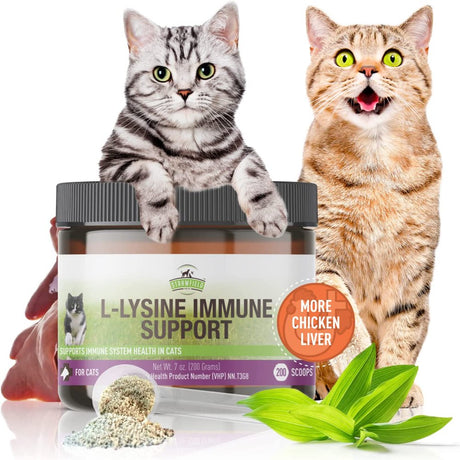 L-Lysine for Cats Supplement Powder Granules for Cat Cold, Sneezing, Congestion, Running Nose, Respiratory, Allergy Relief , Cats & Kittens of All Ages , Cat Health Supplies