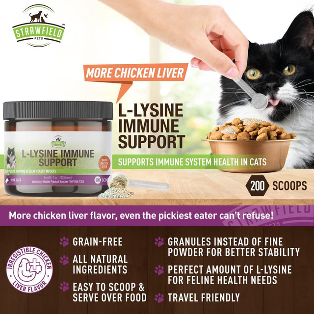 L-Lysine for Cats Supplement Powder Granules for Cat Cold, Sneezing, Congestion, Running Nose, Respiratory, Allergy Relief , Cats & Kittens of All Ages , Cat Health Supplies