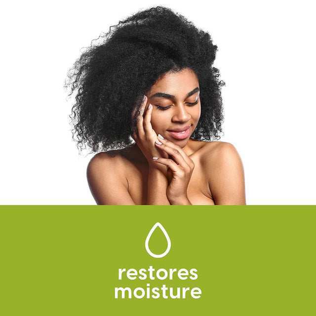 Nutrablast Tea Tree Oil Suppositories (12 Count) | All Natural Intimate Deodorant for Women | Restore Feminine Ph Balance | Made in USA