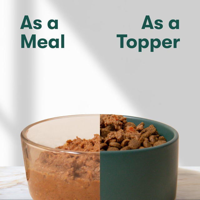 Jinx Chopped Chicken Recipe Natural Wet Dog Food, Grain-Free, 13 Oz. Can