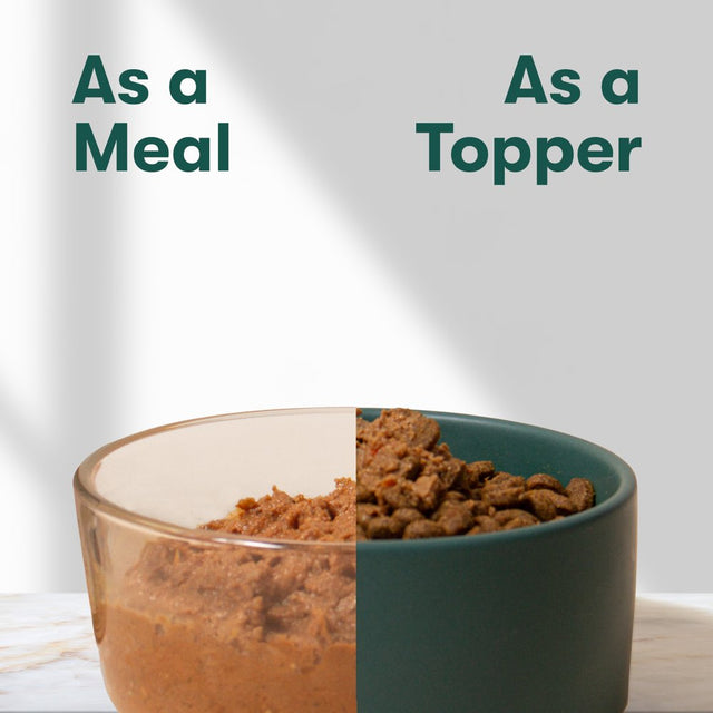 Jinx Chopped Salmon & Chicken Recipe Natural Wet Dog Food, Grain-Free, 13 Oz. Can