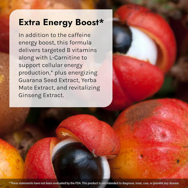 Irwin Naturals Extra-Energy Thermo-Fuel Max Fat Burner - 100 Liquid Soft-Gels - Fuel Thermogenesis & Boost Energy Production - with Green Tea, L-Carnitine & Garcinia - 33 Servings