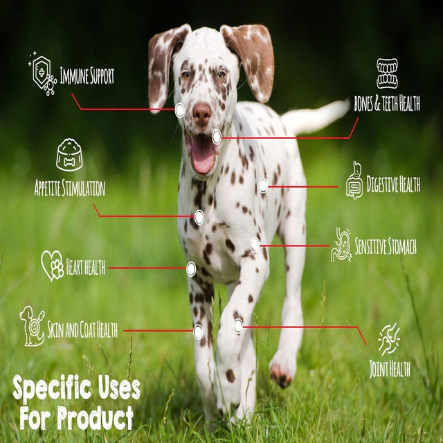 Alpha Dog Series All Natural Limited Ingredients Premium Dry Dog Food Kibble, Duck and Salmon Recipe, Complete Balanced Health, for Puppies and Small and Medium Breed Dogs, (All Stages) 11-Pound Bag