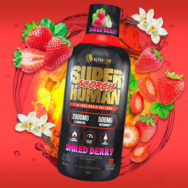 Alpha Lion Superhuman Scorch, Burn Weight Loss Supplement, Fat Loss Support for Men & Women, Caffeine-Free, Metabolism Boost, Liquid Shot, Zero Calories (31 Servings, Strawberry Vanilla Flavor)