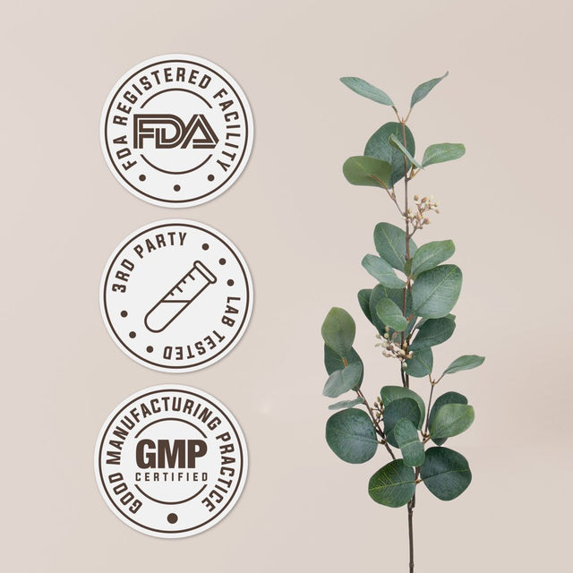 Garden Organics Meadowsweet Tincture Alcohol-Free Extract, Organic Meadowsweet (Filipendula Ulmaria) Dried Herb 4 Fl Oz