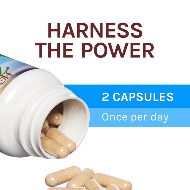 Host Defense, Breathe Capsules, Respiratory Support, Mushroom Supplement with Cordyceps, Reishi and Chaga, Unflavored, 30