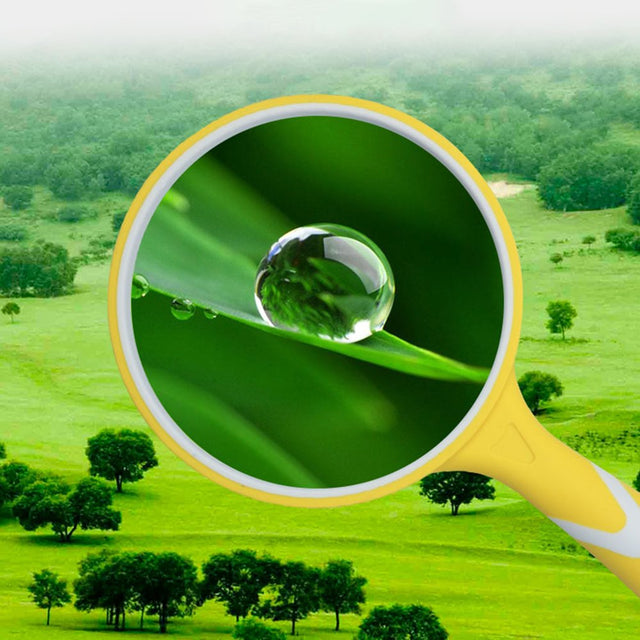 Gofj Magnifier High Clarity Portable 50/65/75/100Mm Handheld Reading Magnifying Glass for Reading