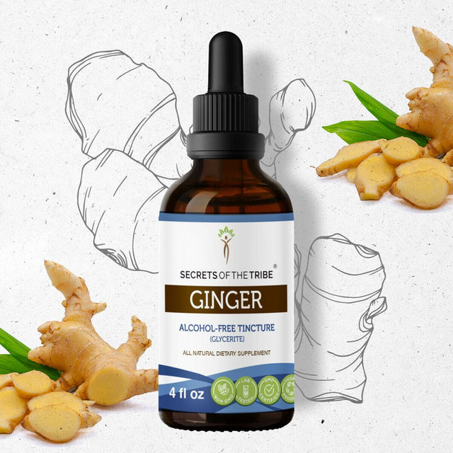 Ginger Tincture Alcohol-Free Extract, Organic Ginger Zingiber Officinale Healthy Digestion 4 Oz