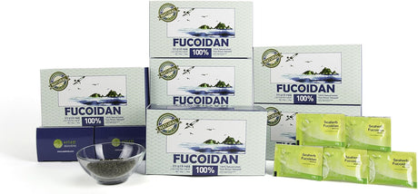 100% Natural Brown Seaweed Extract Fucoidan USFDA Passed(Id Code 2030950)[Powder Type] (50G)