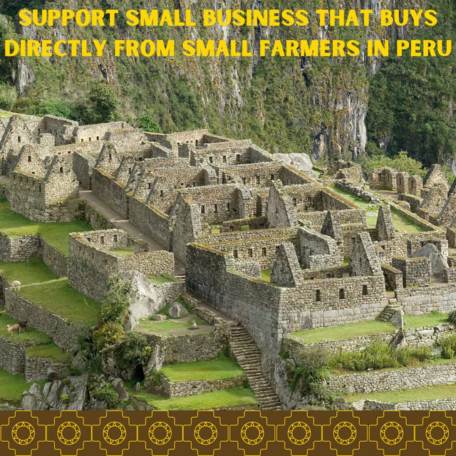 Inca Master Stone Breaker Chanca Piedra Tea - Kidney Stone Dissolver & Gallbladder Cleanse 100% Natural Organic Kidney Stone Breaker 100 Grams 3.5 Ounces