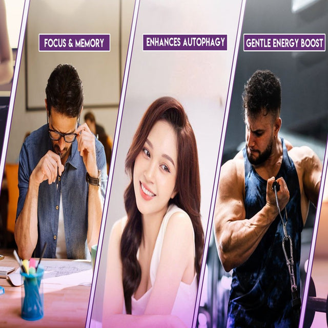 Just Potent High Purity (99%) Spermidine Supplement | 120 Capsules, 10Mg per Capsule, 4 Months of Supply | Cell Renewal Support and Anti-Aging