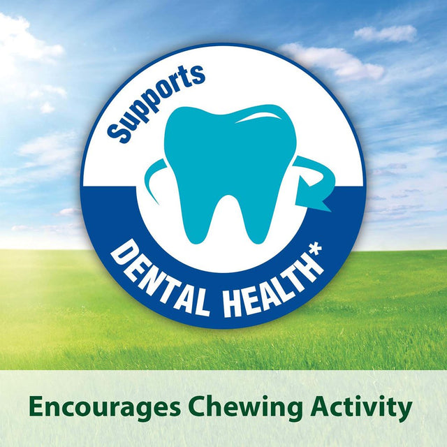 Kaytee Fiesta Rabbit Food 20 Pounds