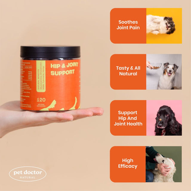 Hip& Joint Support Supplement for Dogs with Glucosamine, Chondroitin & MSM for Arthritis, Inflammation, Mobility Support -Made in USA-120 Chews
