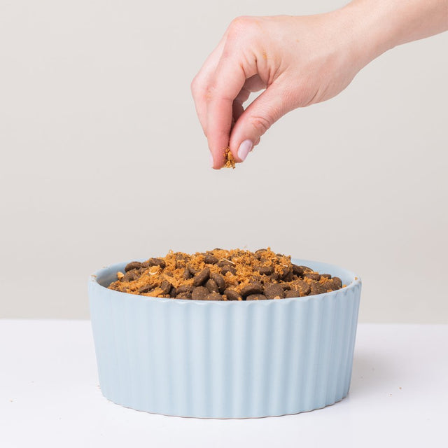 Jinx Salmon on Top Flavor Boosting Freeze-Dried Meal Topper, All-Natural Dry Dog Food, 3 Oz Bag