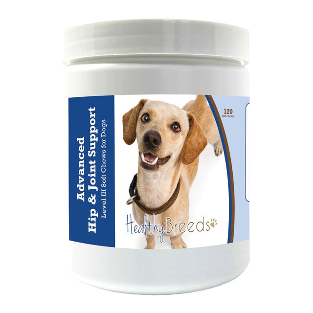 Healthy Breeds Chiweenie Advanced Hip & Joint Support Level III Soft Chews for Dogs 120 Count