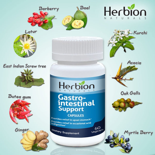 Herbion Naturals Gastro-Intestinal Support Herbal Blend for Upset Stomach Relief, Gastrointestinal Health and Function, Occasional Acid Indigestion, Healthy Intestinal Flora, 60 Vegicaps