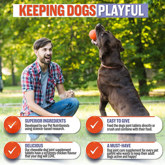 Hip & Joint Supplements for Dogs - Adult Dog Pain Relief anti Inflammatory Tablets 120