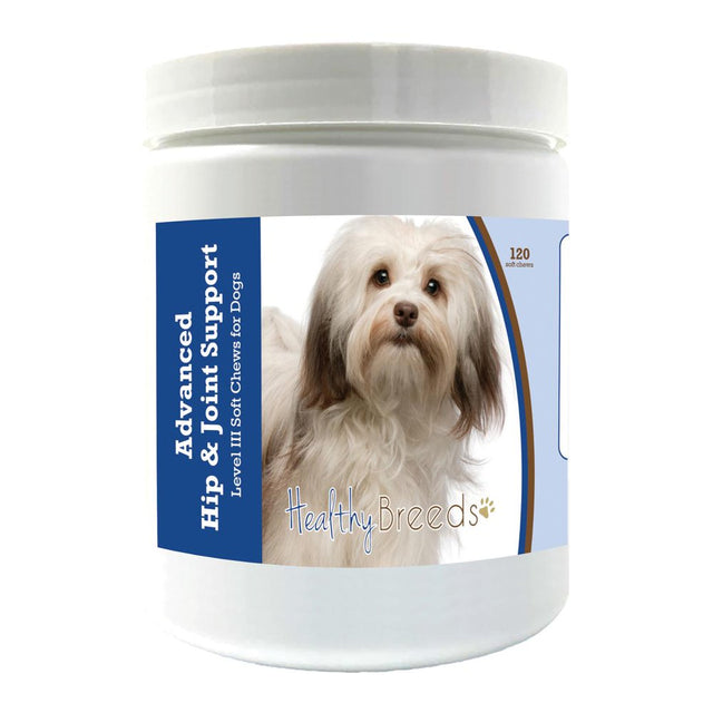Healthy Breeds Havanese Advanced Hip & Joint Support Level III Soft Chews for Dogs 120 Count