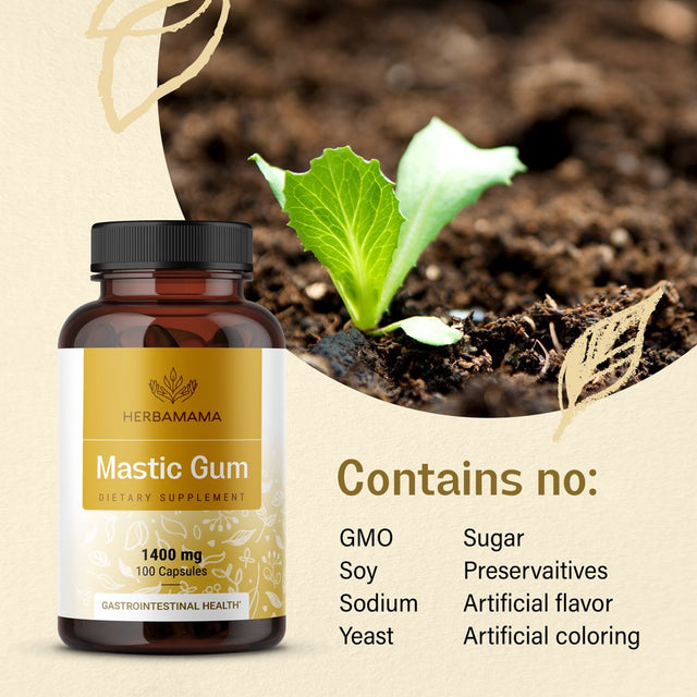HERBAMAMA Mastic Gum Capsules - 1400 Mg, 100 Caps - Liver Health & Digestive Supplement