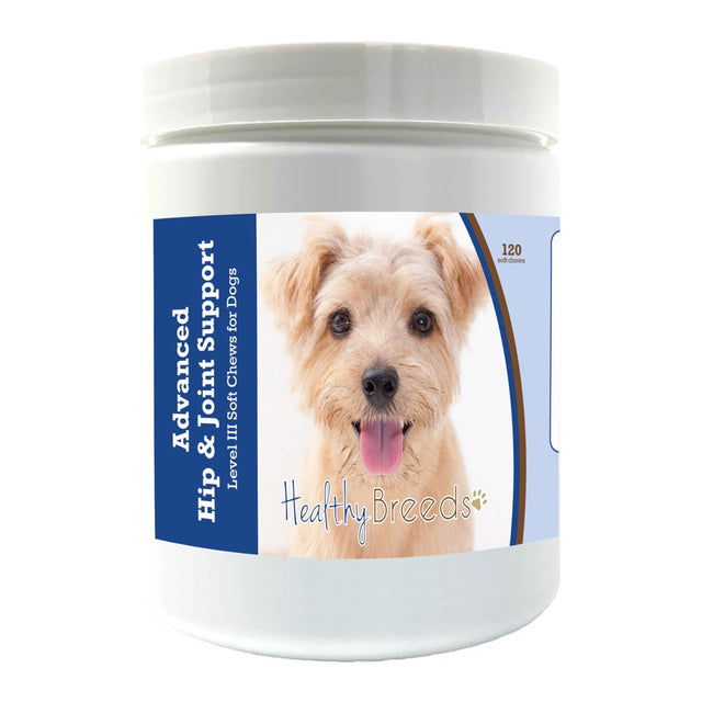 Healthy Breeds Norfolk Terrier Advanced Hip & Joint Support Level III Soft Chews for Dogs 120 Count