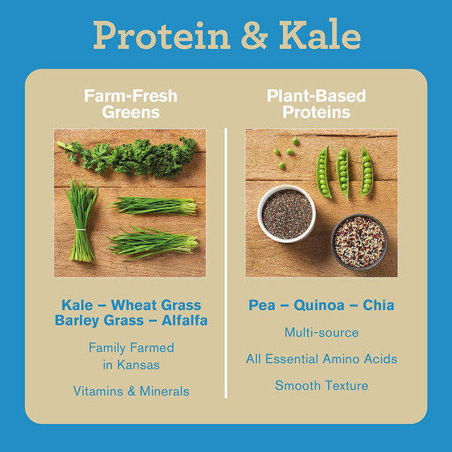 Amazing Grass Vegan Protein & Kale Powder: 20G of Organic Protein + 1 Cup Leafy Greens per Serving, Vanilla, 15 Servings
