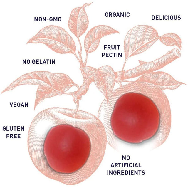 Garden of Life Mykind Organics Apple Cider Vinegar Gummies 60 Gummies