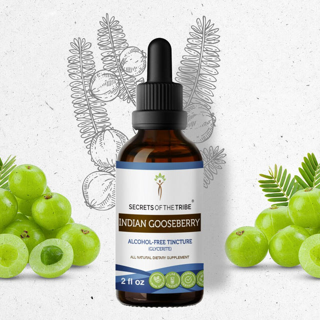 Indian Gooseberry Tincture Alcohol-Free Extract, Organic Indian Gooseberry (Emblica Officinalis) Dried Fruit 2 Oz