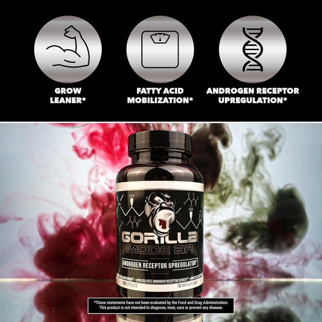 Gorilla Mode AR Carnitine 750Mg Capsules – Androgen Receptor Upregulator/Boosts Cellular Energy, Upregulates Androgen Receptor Density/Shuttles Fatty Acids (120 Capsules)
