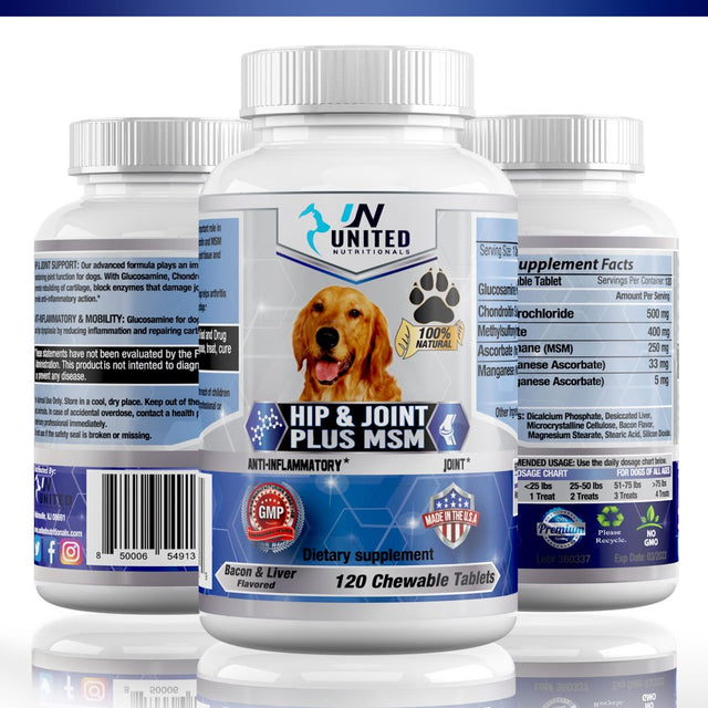 Hip and Joint Support for Dogs, Glucosamine, MSM, Chondroitin, Pain Relief, Joint Inflammation, Healthy Cartilage and Mobility - 60 Natural Chewable Tablets.