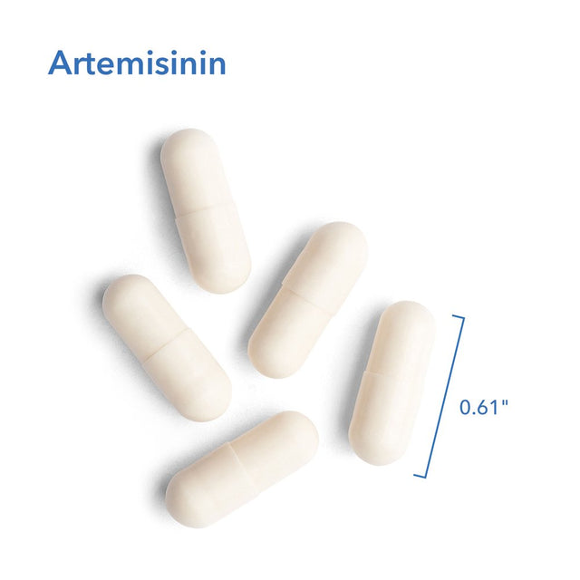 Allergy Research Group - Artemisinin - Microbial Balancer - 90 Vegetarian Capsules