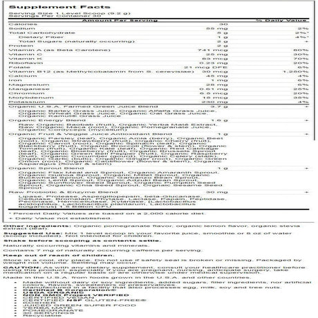 Garden of Life Garden of Life Raw Organic Perfect Food Energizer, 9.8 Oz