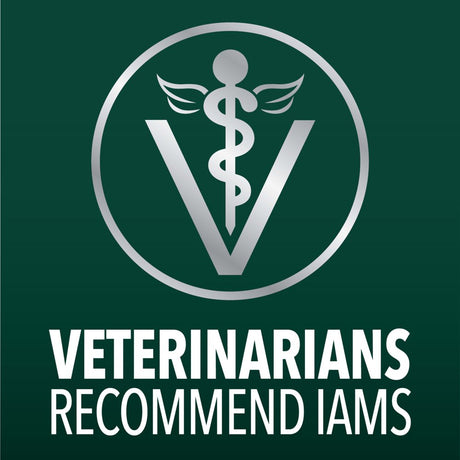 IAMS ADVANCED HEALTH Healthy Digestion Chicken & Whole Grain Flavor Dry Dog Food for Adult Dog, 13.5 Lb Bag