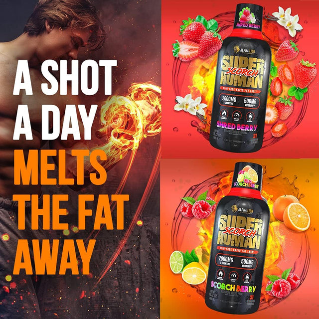 Alpha Lion Superhuman Scorch, Burn Weight Loss Supplement, Fat Loss Support for Men & Women, Caffeine-Free, Metabolism Boost, Liquid Shot, Zero Calories (31 Servings, Strawberry Vanilla Flavor)