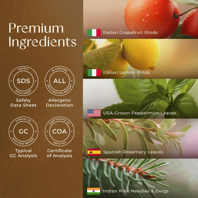 Gya Labs Active Energy Essential Oil Blend for Diffuser - Natural for Aromatherapy Oils Energy, Essential Oils Rejuvenating & Refreshing (10Ml) - 100% Natural