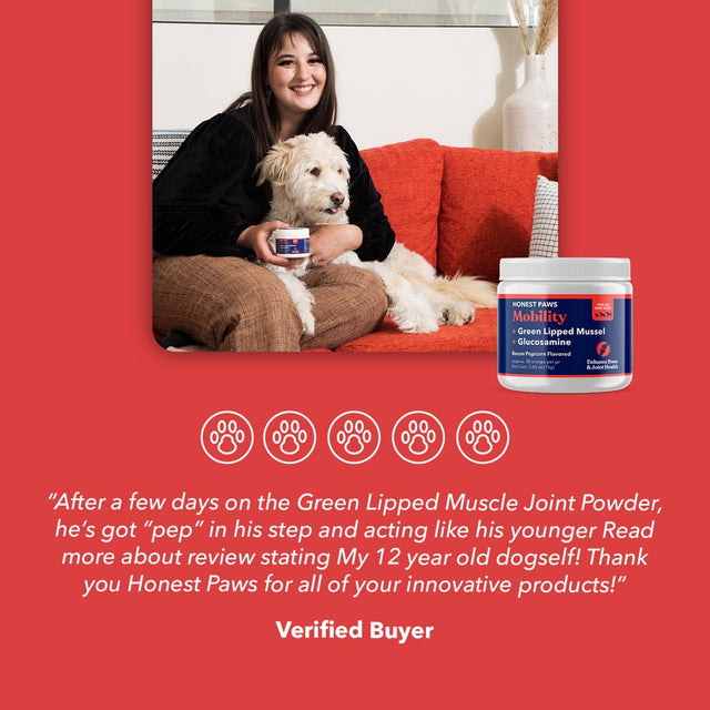 Honest Paws Dog Hip and Joint Powder – Mobility Health Bone Supplement- All Ages