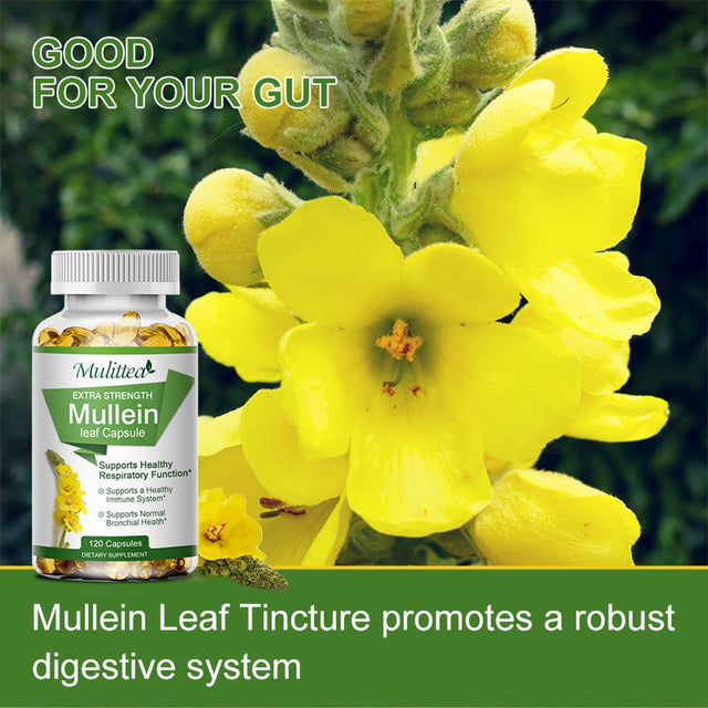 Mulittea Mullein Leaf Capsules Herbal Supplement Supports Respiratory Function Health,120Count/Bottle
