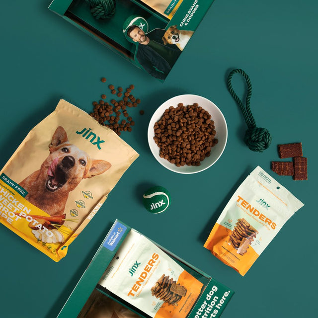 Jinx & Chris Evans Dog Dream Box