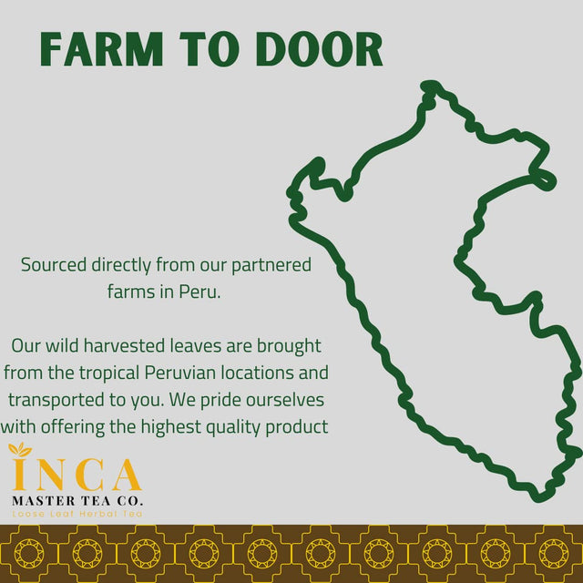 Inca Master Stone Breaker Chanca Piedra Tea - Kidney Stone Dissolver & Gallbladder Cleanse 100% Natural Organic Kidney Stone Breaker 100 Grams 3.5 Ounces