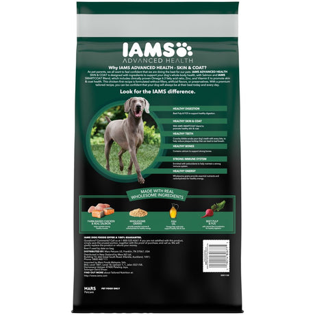 IAMS Advanced Health Chicken and Salmon Recipe Dry Dog Food, 6 Lb Bag