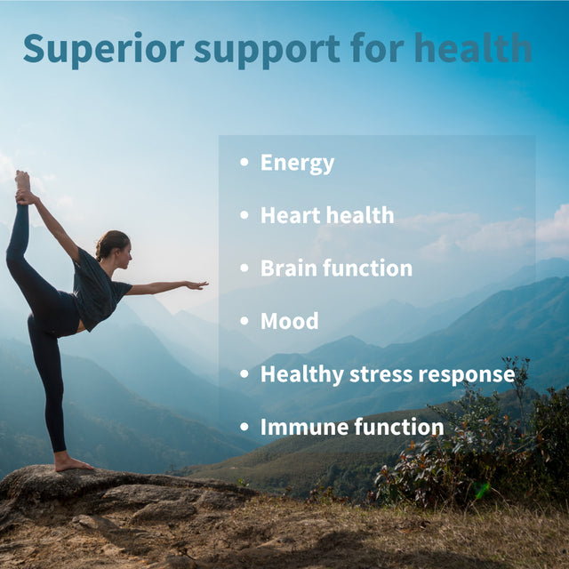 Igennus Super B-Complex, Methylated & Sustained Release B Complex Supplement, Vegan, 180 Small Tablets