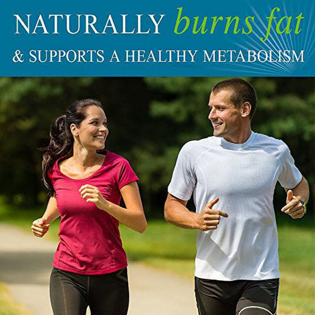 Garden of Life Fucoxanthin Supplements - Fucothin Diet Pill for Weight Loss, 90 Softgels