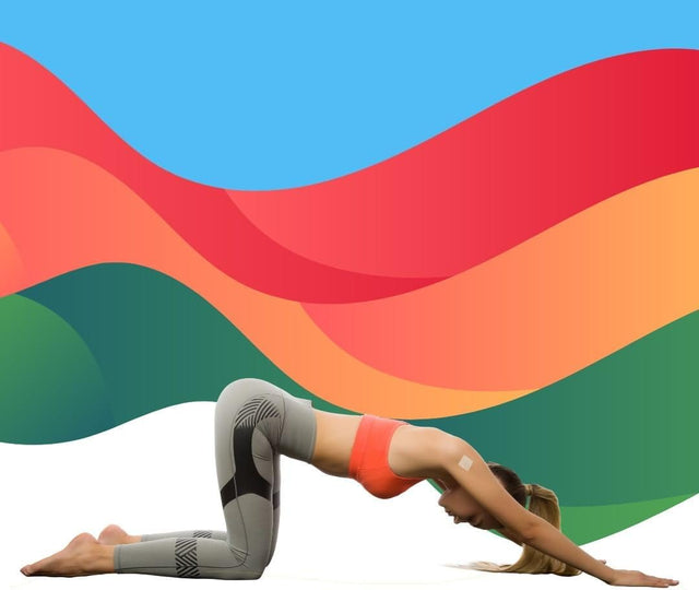 L-Lysine/Zinc plus (30-Day Supply)