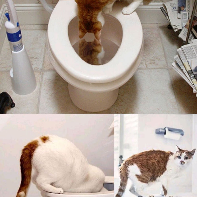 Black and Friday Deals Blueek Pet Water Dispenser Automatic Watering Station for Dogs and Cats Funny Toilet-Shaped Pet Drinking Bowl