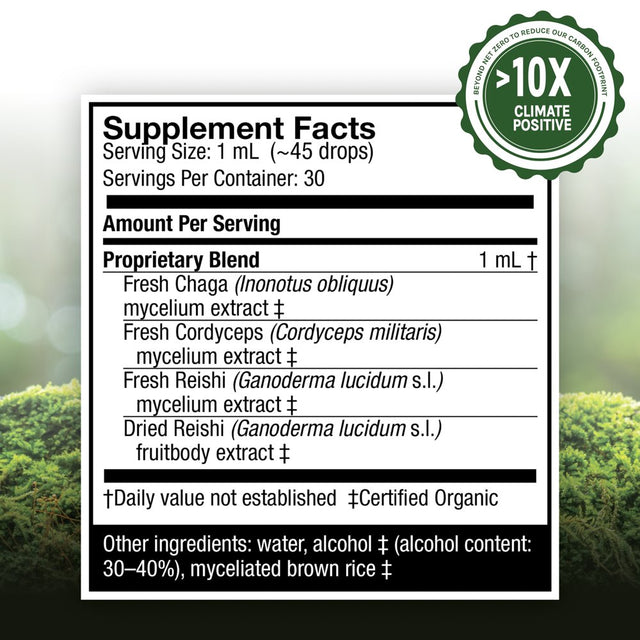 Host Defense, Breathe Extract, Respiratory Support, Mushroom Supplement with Cordyceps, Reishi and Chaga, Plain, 1 Fl Oz