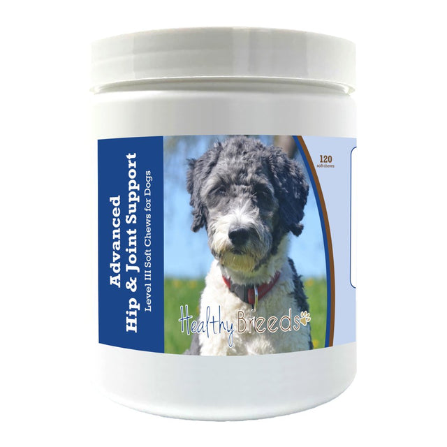 Healthy Breeds Aussiedoodle Advanced Hip & Joint Support Level III Soft Chews for Dogs 120 Count