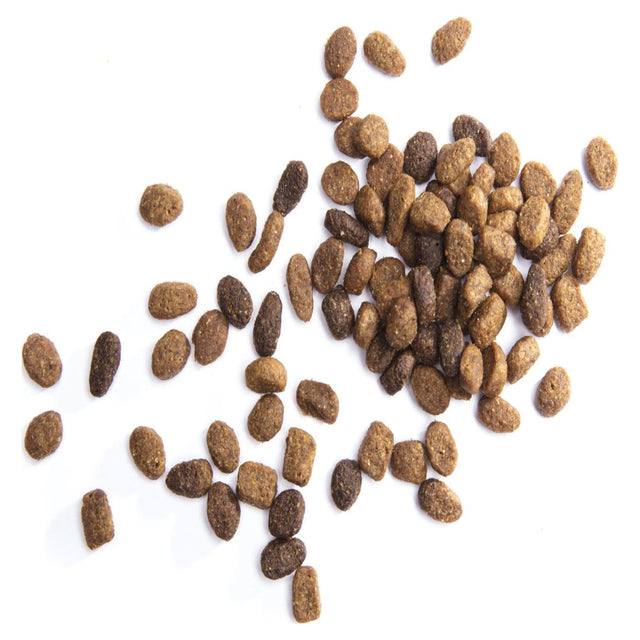 IAMS Chicken & Whole Grains Dry Dog Food for Petite & Small Breed Adult Dog, 7 Lb. Bag