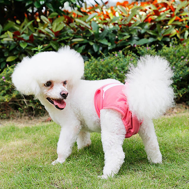 Black and Friday Deals Blueek Dog Physiological Pants Teddy Menstrual Pants Dog Hygiene Diapers Anti-Harassment Estrus Pet Aunt Pants