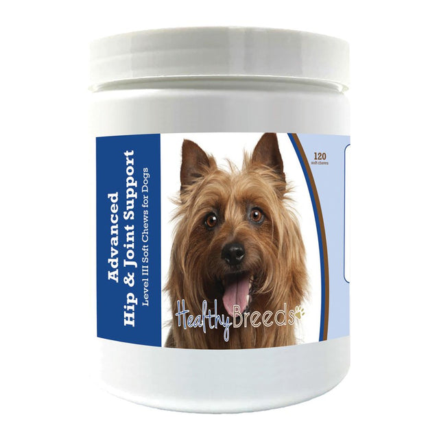 Healthy Breeds Australian Terrier Advanced Hip & Joint Support Level III Soft Chews for Dogs 120 Count
